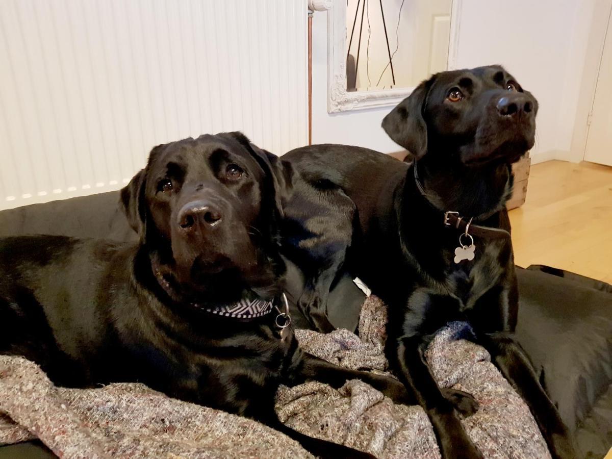 Stengaardens Feriebolig Ruds Vedby Luaran gambar